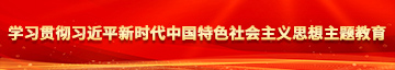 大狙插大雷日批学习贯彻习近平新时代中国特色社会主义思想主题教育