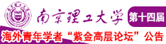 骚货婊子日逼南京理工大学第十四届海外青年学者紫金论坛诚邀海内外英才！